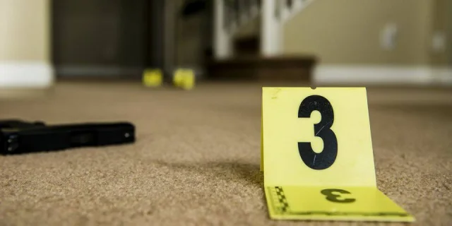Jeu Enquête - Ludi Sensu