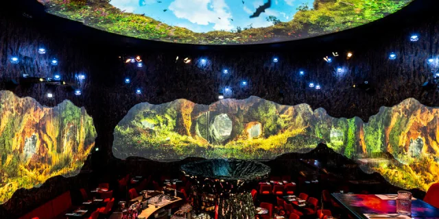 Magmatic by Ephemera - restaurant