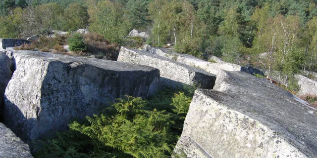 Mission Biodiversité