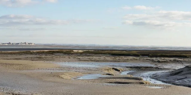 Nettoyer la Baie