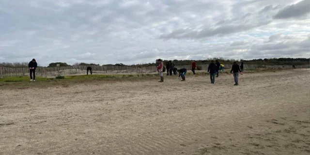 Nettoyer la Baie