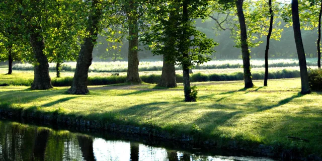 Rallye la Forêt Comestible - RSE